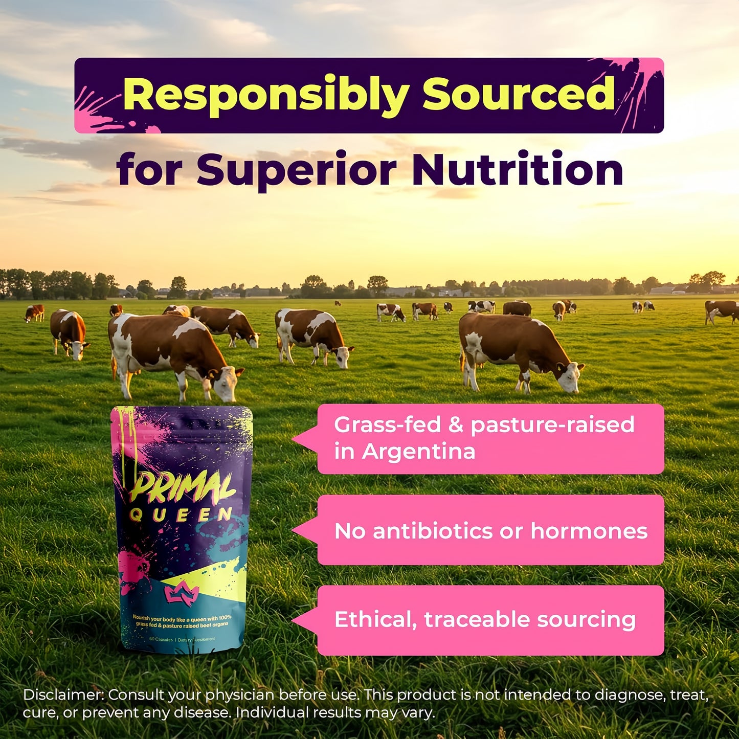 Primal Queen Female-Optimized Beef Organ Superfood Supplement (Beef Liver, Kidney, Heart, & 3 More) - 100% Grass Fed, Pasture Raised Cattle - Balance Hormones, Energy, & More for Women